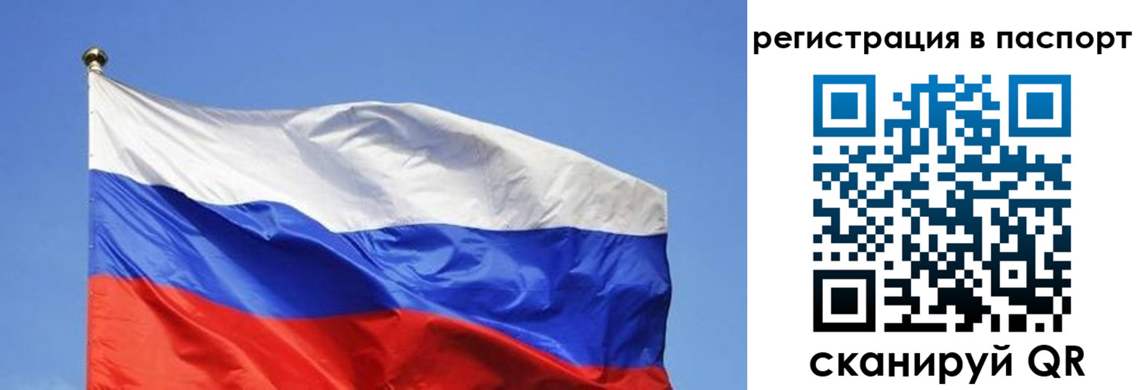 прописка в квартире в Алексине